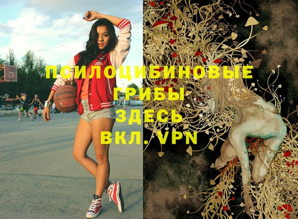 spice Верхний Тагил