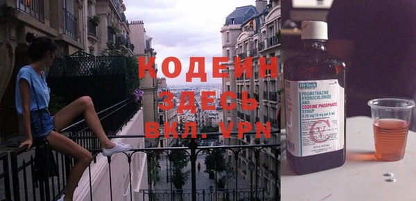 ГАЛЛЮЦИНОГЕННЫЕ ГРИБЫ Вяземский