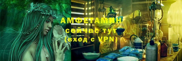 дмт Карпинск