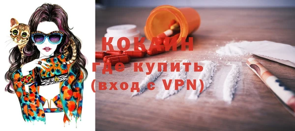 ГАЛЛЮЦИНОГЕННЫЕ ГРИБЫ Вяземский