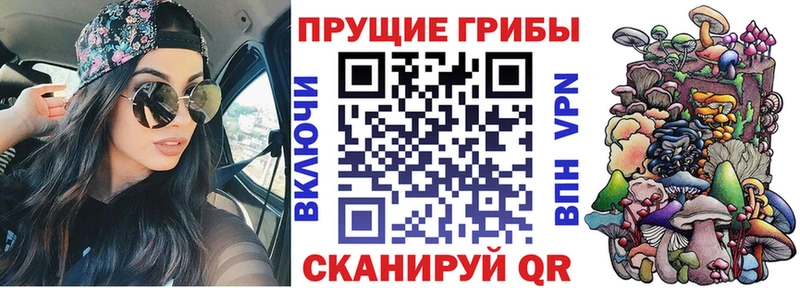 закладка  гидра ССЫЛКА  Псилоцибиновые грибы GOLDEN TEACHER  Жуков 